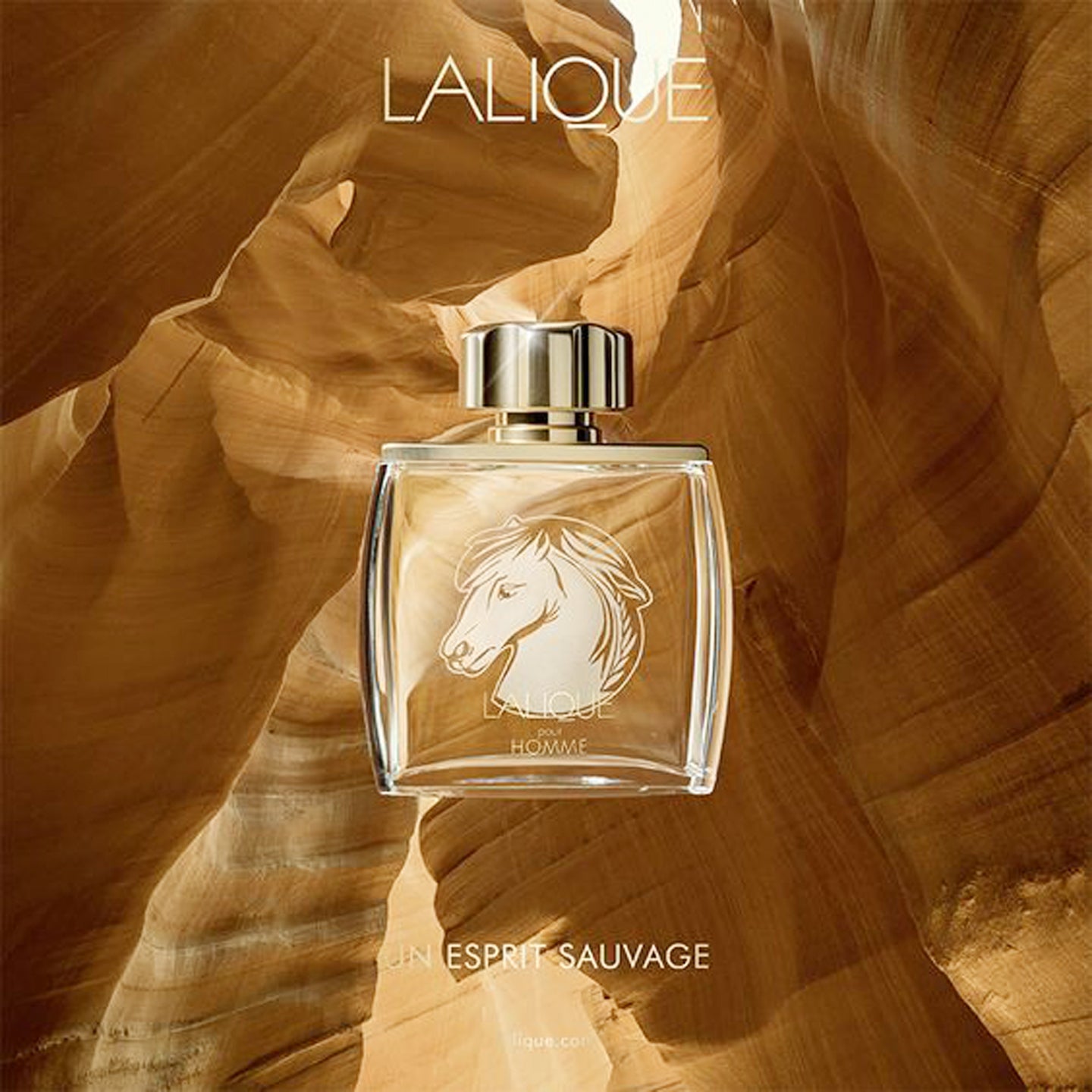 Lalique Equus Eau de Parfum Spray 75 ml for Men