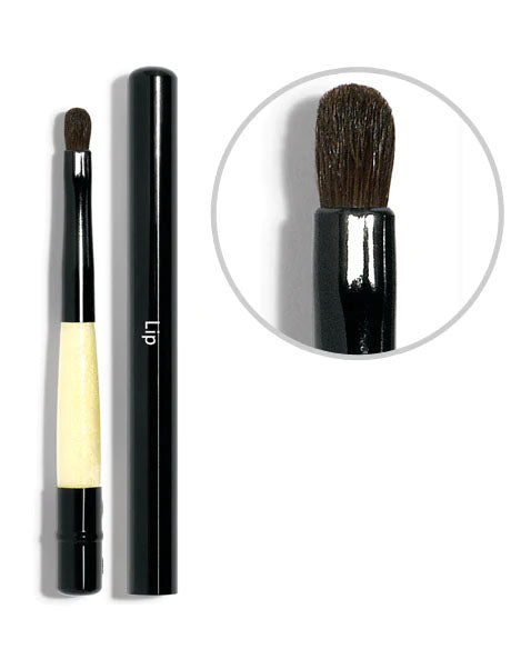 Retractable Lip Brush